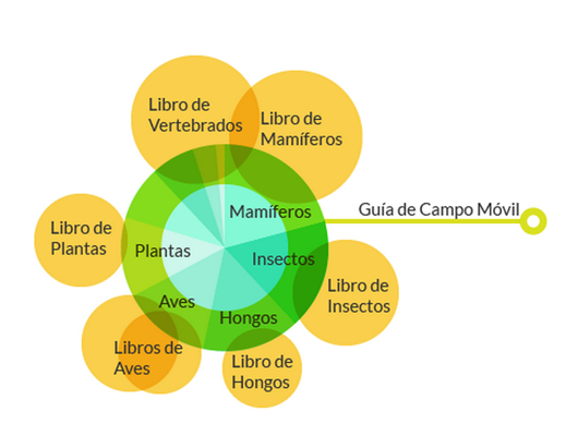Diagrama de Venn con círculos explicando las pocas epecies dentro del total de especies de un parque que son abarcadas en los libros de flora y fauna Chilena. Y mostrando las especies que estarían abarcadas en cada aplicación móvil.